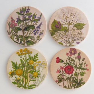 Coasters Medicinal Plants 9cm, set of 4. Sold out, due August